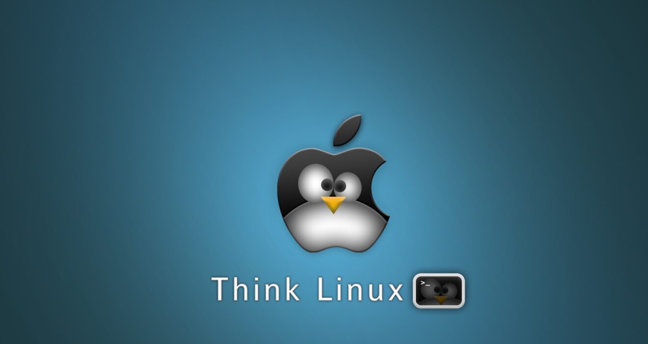 Linux main out