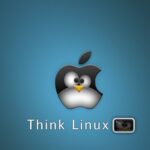 Linux main out